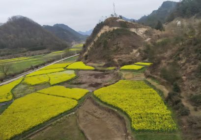 益陽地質災害安全性評估單位，益陽地災評估，地災評價機構